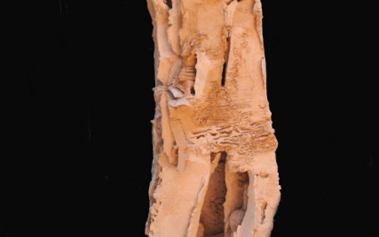 La casa del poeta sulla sommità del monte