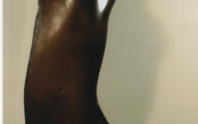 Busto maschile II°